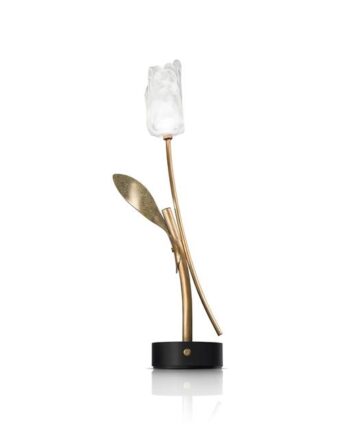 Slamp Tulip Transportabel Lampe Transparent Sort Base