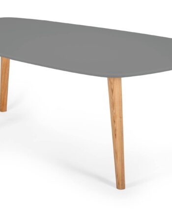 Endocarp Sofabord 110x66x45cm Betongrå   Asketræ