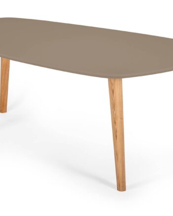 Endocarp Sofabord 110x66x45cm Brun   Askwood