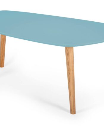 Endocarp Sofabord 110x66x45cm Gentle Blue   Asketræ