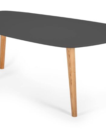 Endocarp Sofabord 110x66x45cm Grafit Asketræ