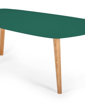 Endocarp Sofabord 110x66x45cm Grøn Asketræ