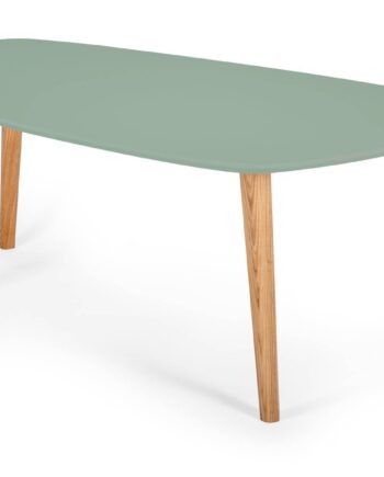 Endocarp Sofabord 110x66x45cm Salviegrøn   Asketræ