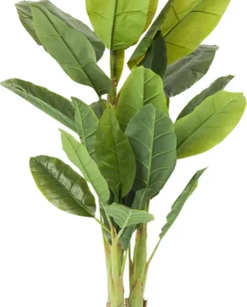 Kare Design Banana Tree Kunstig Plante Grøn Ethylenvinylacetat Og Polyethylen   :180cm