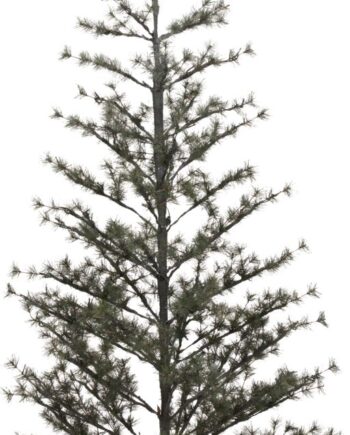 Kunstigt Juletræ House Doctor Pin H220 Cm Med 240 Led-lys Naturtro Design