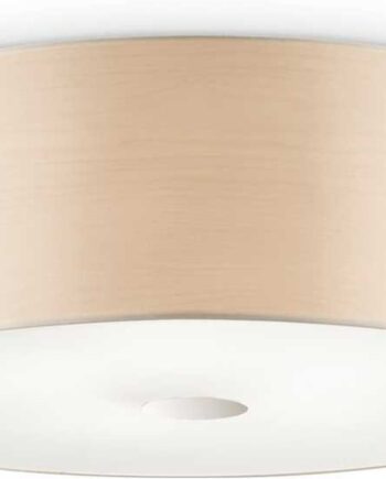 Loftslampe Ideal Lux Woody Natur Krom ø50ã H18 Cm Kromramme Glas Og Plast Ip20 Med   E27 Fatninger