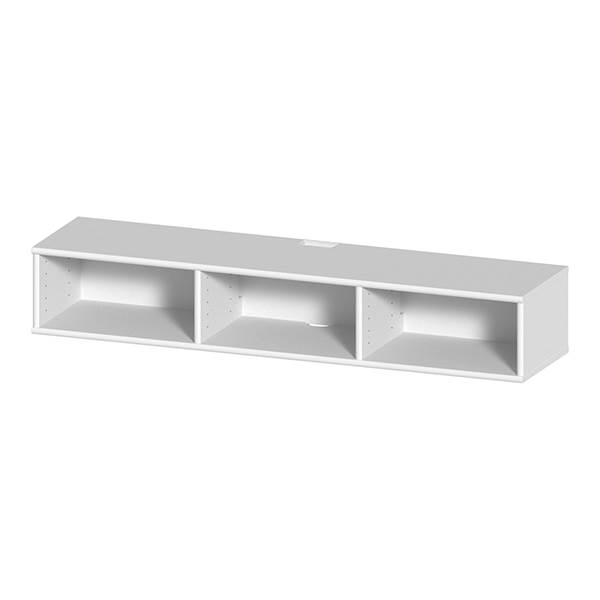 Mistral Tv Modul 034 Hvidpigmenteret Eg