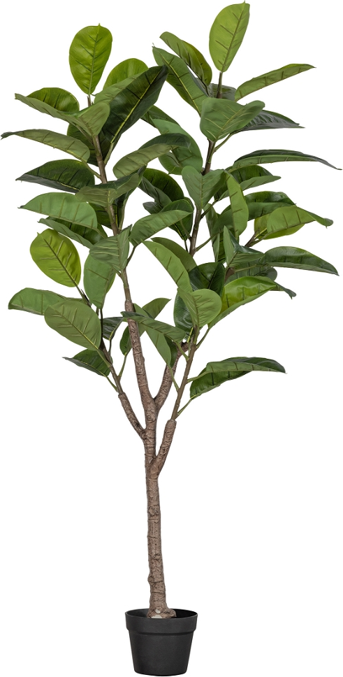 Kunstig Plante Woood Rubberboom H135 Cm Grøn