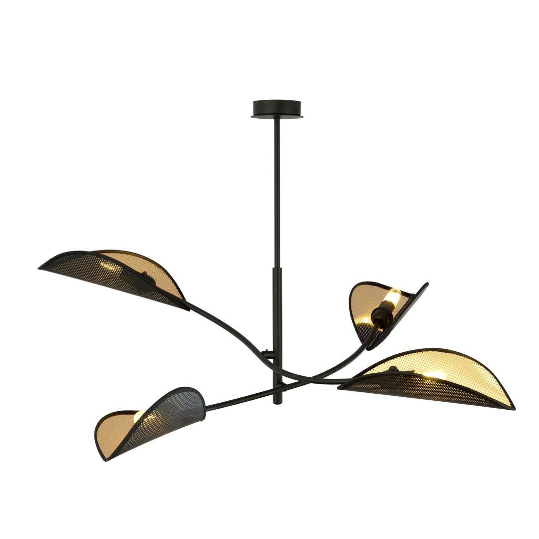 Lotus   Black Gold