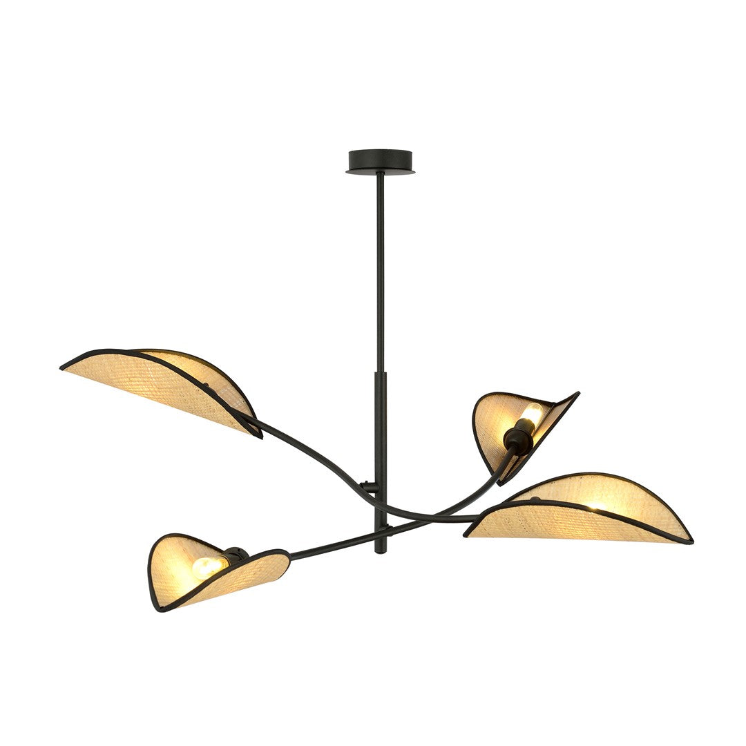 Lotus   Black Rattan