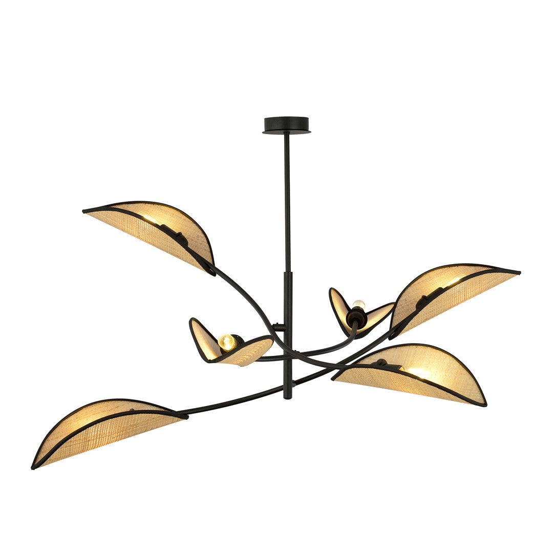 Lotus   Black Rattan